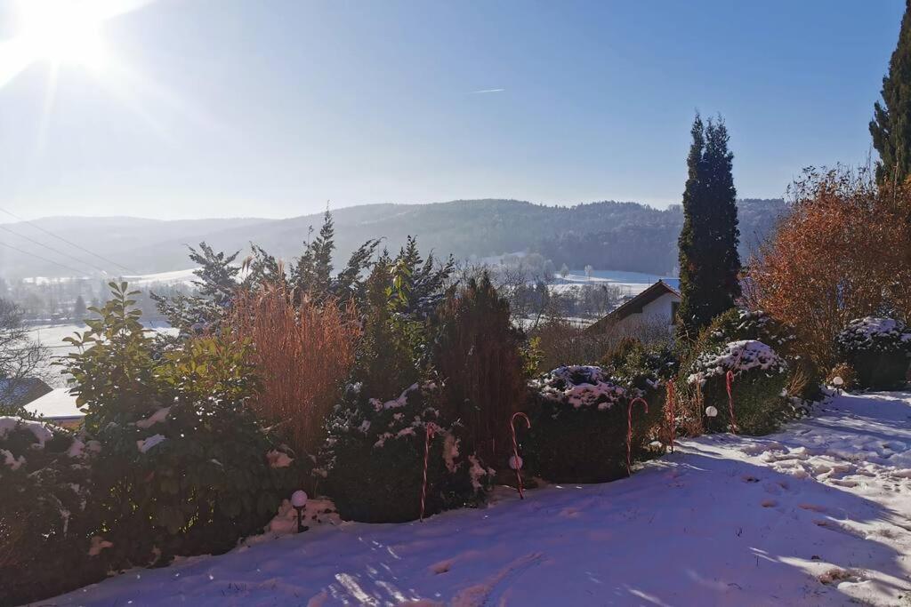 Chalet Bambi Blaibach Exteriér fotografie